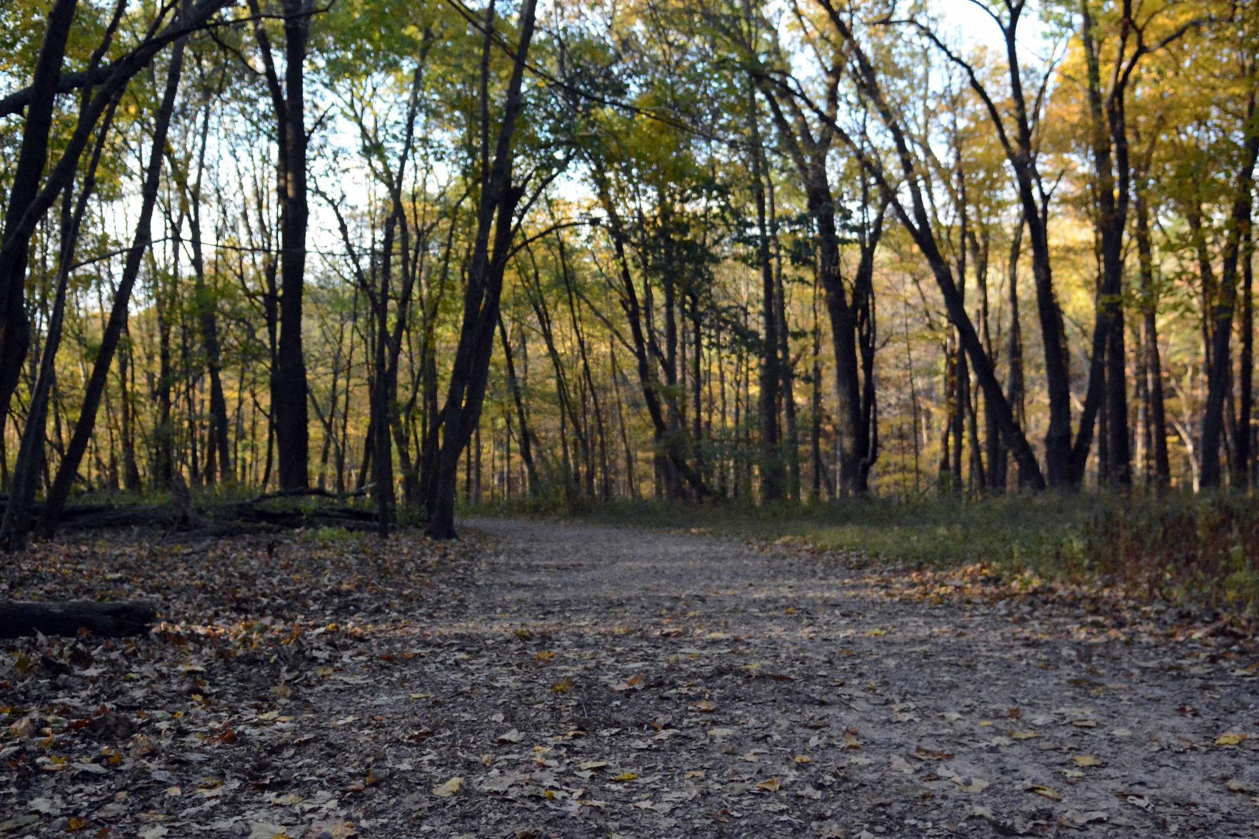Devil's Lake shows autumn colors, Oct. 18